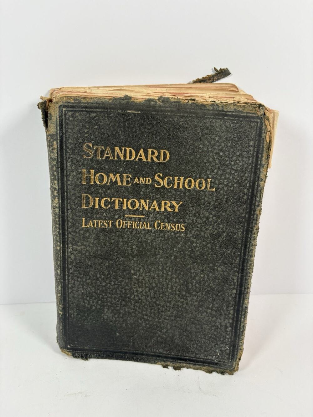 Standard Home and School Dictionary 1910s Leslie-Judge Antique Illustrated Rough